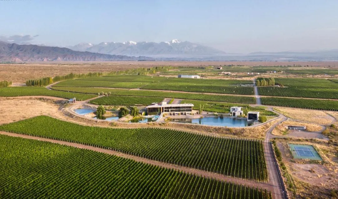 Casa De Uco Vineyards And Wine Resort-1